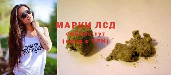 ПСИЛОЦИБИНОВЫЕ ГРИБЫ Абаза