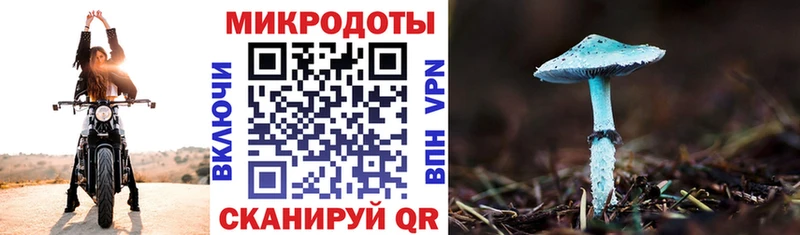 Галлюциногенные грибы Magic Shrooms  Волоколамск 